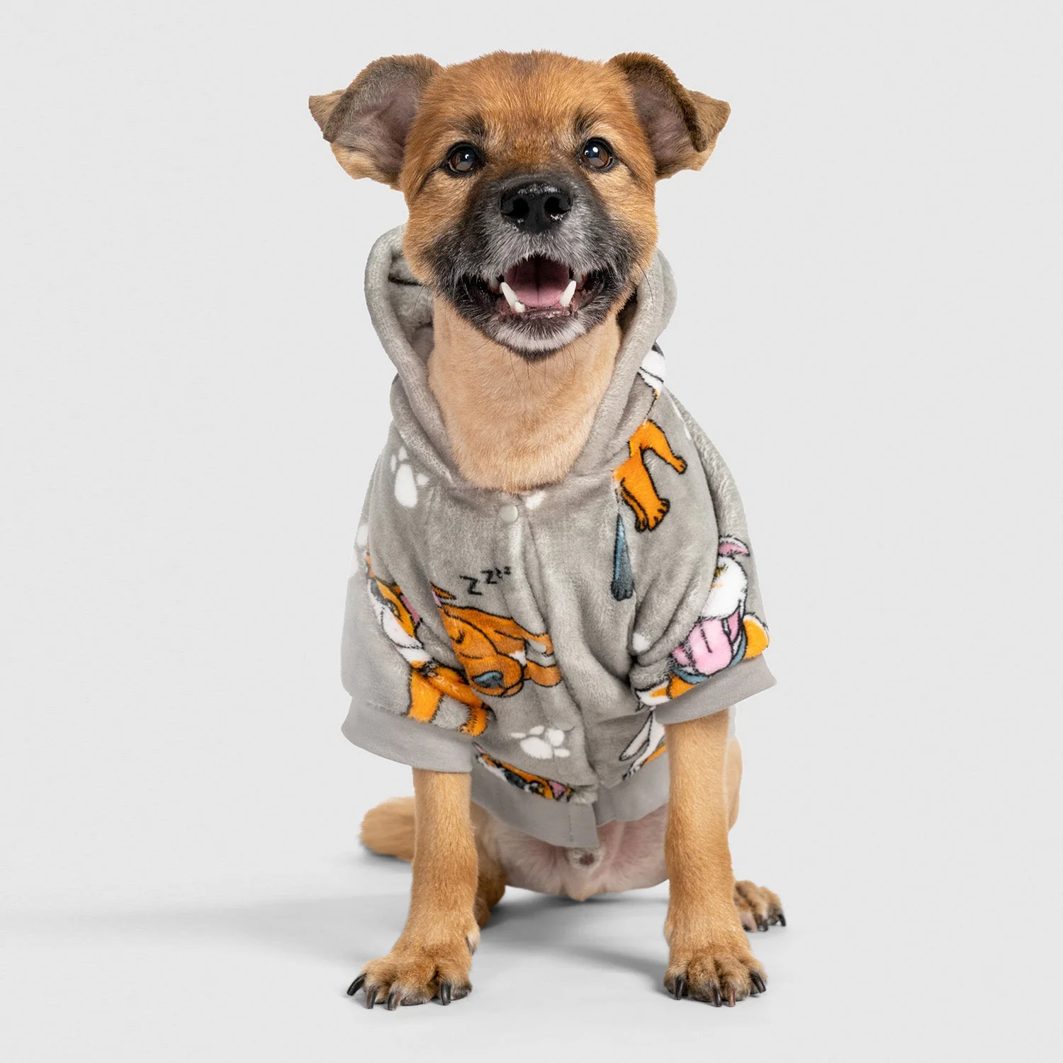 Staffy - Image 4